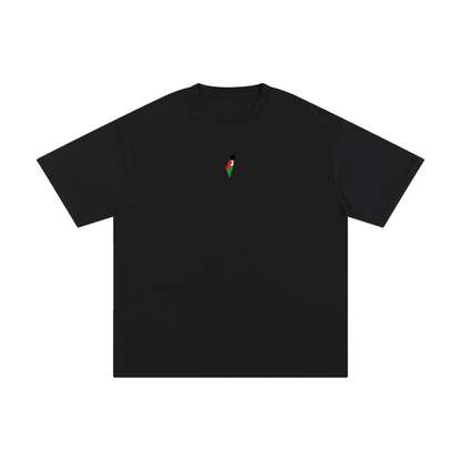 Palestine Oversized T-Shirt Unisex Pure Cotton T-Shirt