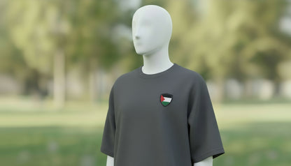 Oversized faded t-shirt Palestine shirt